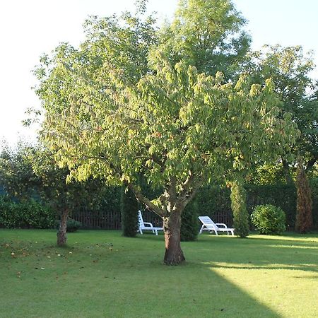 Landsitz Ruegen Daire Glowe Dış mekan fotoğraf