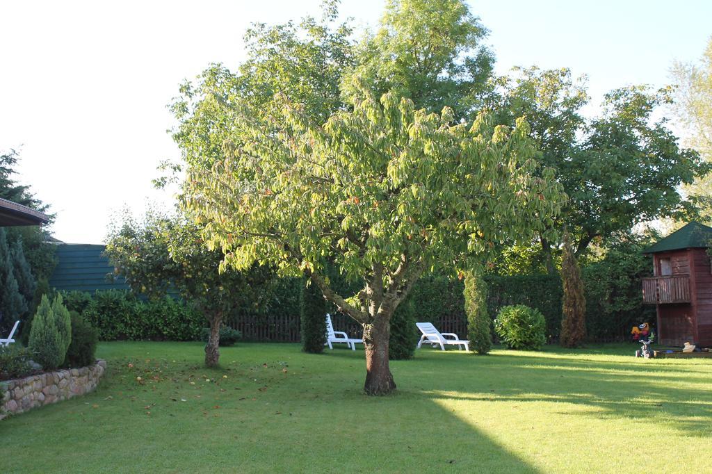 Landsitz Ruegen Daire Glowe Dış mekan fotoğraf